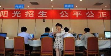 高招錄取正式啟動(dòng) 石家莊市咨詢服務(wù)站電話公布，助力考生獲取關(guān)鍵信息